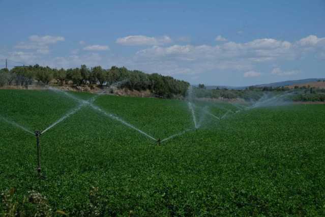Irrigazione Consorzio Di Bonifica Sardegna Meridionale Irrigazione Consorzio Di Bonifica Sardegna Meridionale