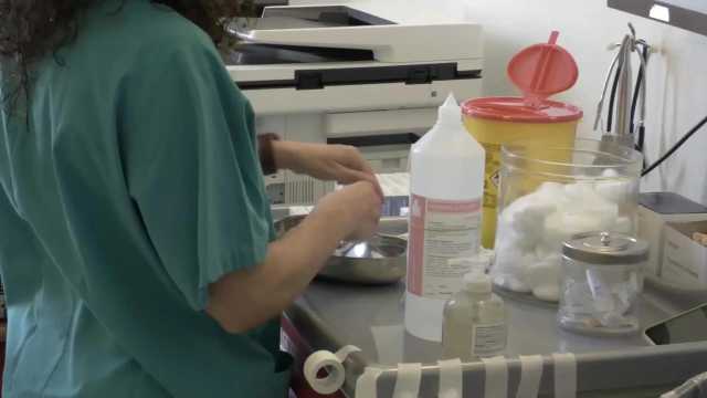 Influenza In Sardegna l'influenza corre più che altrove: incidenza sopra la media nazionale