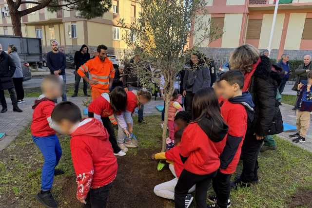 La Messa A Dimora Dellulivo A Is Mirrionis l'iniziativa “Il Risveglio del Quartiere, episodio verde”: messo a dimora un ulivo