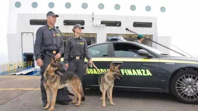 Porto Torres, 4 chili di cocaina nella borsa: i cani Karma e Fred smascherano una 46enne 