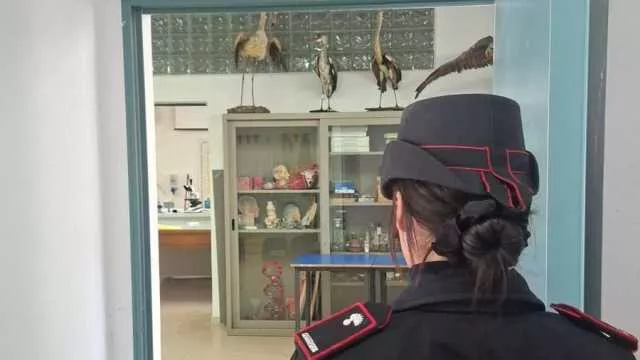 Acidi rovesciati nel laboratorio di scienze: scatta l'evacuazione di una scuola a Iglesias