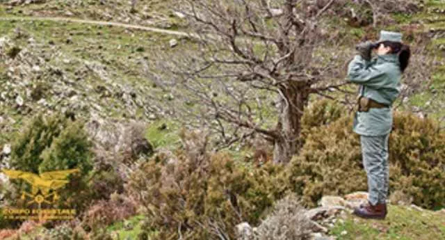 Uta, disboscamento e strada aperta senza autorizzazioni: sigilli a un'area sottoposta a vincolo paesaggistico