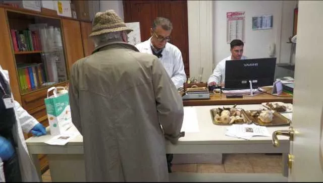 Intossicati dai funghi in Sardegna, l'appello della Asl di Sassari: