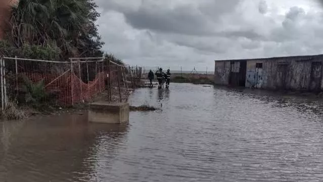 Gatti in difficoltà all'Ospedale marino dopo il ciclone, Lav Cagliari: 