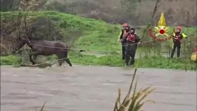 Pastori dispersi, cavalli da salvare e fiumi in piena: paura per il maltempo nel nuorese