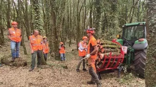 Forestas cerca 104 lavoratori a tempo indeterminato: come fare domanda