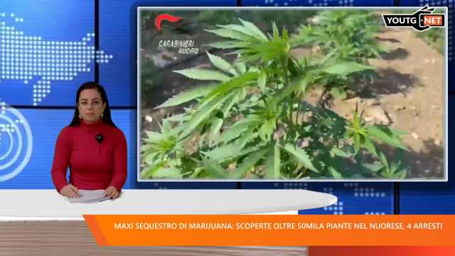 Il Tg del mattino - 13 Gennaio 2026