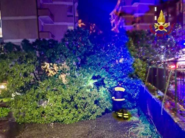 Maltempo, in Sardegna 150 interventi dei vigili del fuoco: alberi caduti e dissesti 