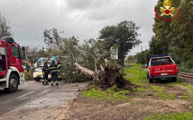 Tortolì, albero piomba su un'auto in marcia sulla 125: due feriti