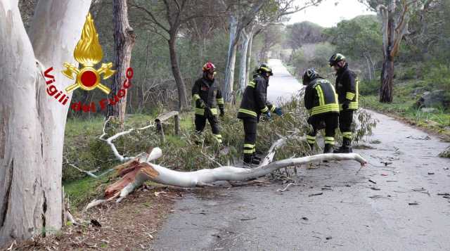 Maltempo, oltre 60 interventi dei vigili del fuoco nel nord Sardegna