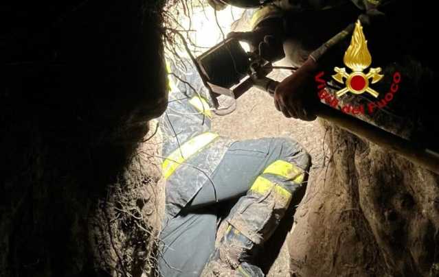 Narbolia, resta incastrata bloccata in un cunicolo: cagnolina da caccia salvata dai vigili del fuoco