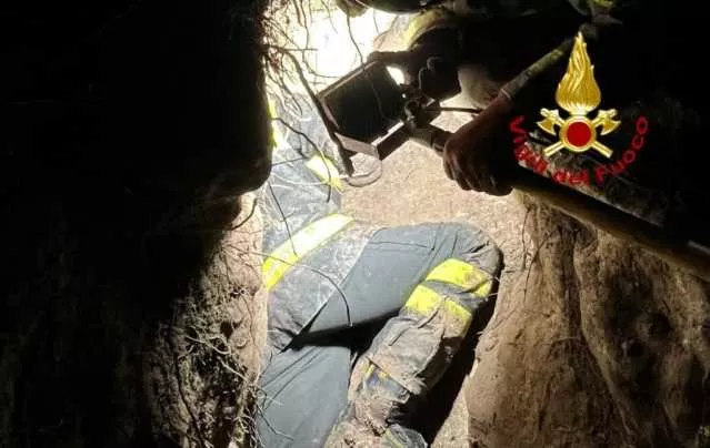 Narbolia, resta incastrata bloccata in un cunicolo: cagnolina da caccia salvata dai vigili del fuoco