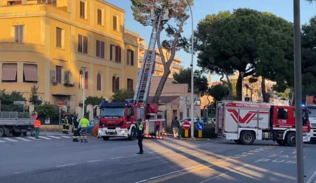 Alberi pericolanti in viale Diaz, strada chiusa e vigili del fuoco al lavoro