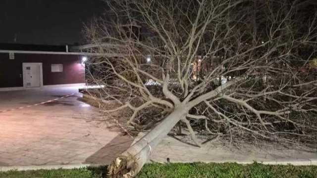 Cagliari, parchi cittadini e cimiteri chiusi domani: burrasca in arrivo