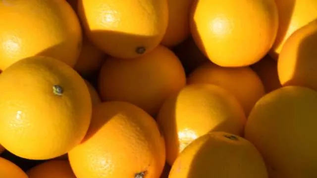 Maltempo, arance a terra nel Sud Sardegna e carciofi sott'acqua nell'oristanese