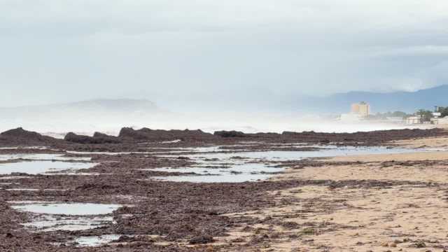 Posidonia nelle spiagge? Deve restare per ora, lo dice anche la Regione