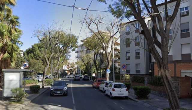 Cagliari, abbattuti due grandi pini dopo le piogge in via Milano: 