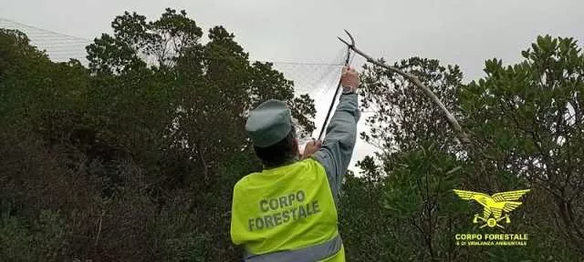 Caccia di frodo sugli uccelli (anche protetti): l'operazione nel Sulcis