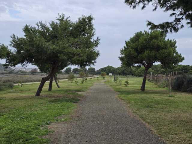 Dalla tutela dell'ambiente allo stop degli abusi edilizi: ecco il nuovo piano del parco di Molentargius