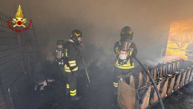 Orgosolo, appiccato un incendio in una stalla: muoiono 25 pecore