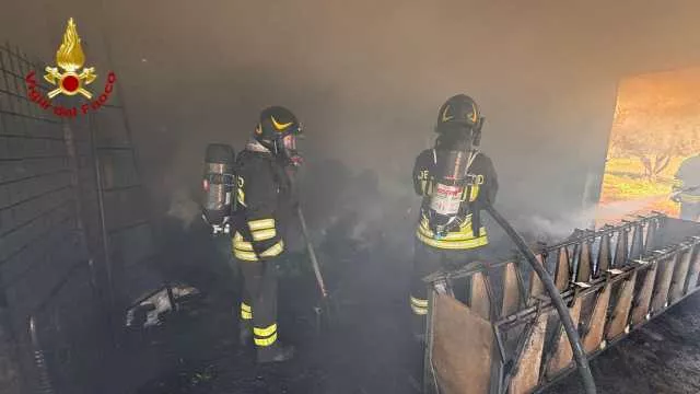 Orgosolo, incendio in una stalla: muoiono 25 pecore