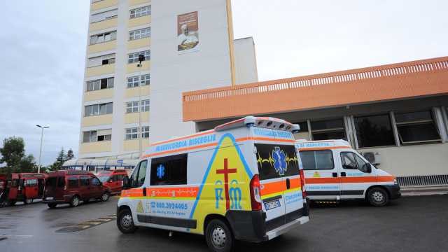 Morta una 16enne dopo la caduta di un albero: seconda vittima per il forte vento in Puglia