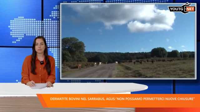 Il Tg del Mattino - 21 Aprile 2026