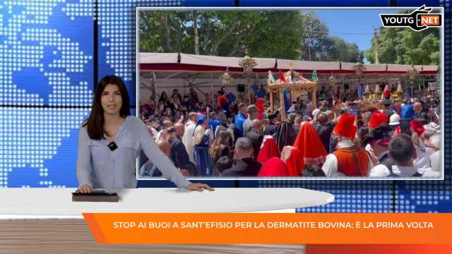 Il Tg del Mattino - 29 Aprile 2026