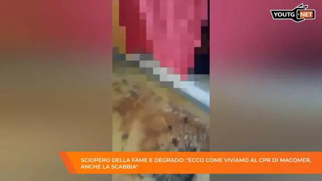 Il Tg della Sera - 24 Aprile 2026