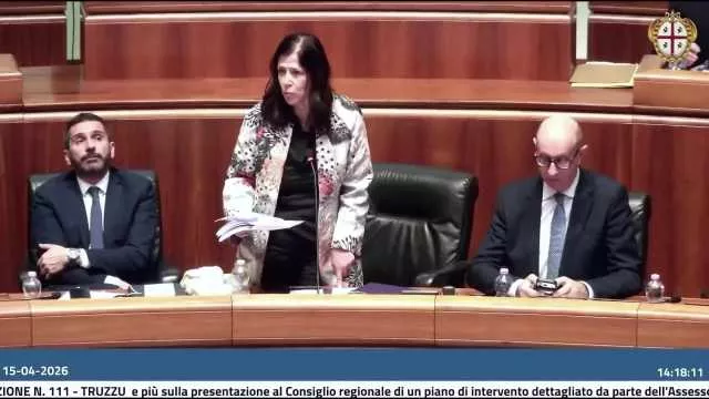 Todde Sanit Aula Sanità sarda, se ne parla in Regione. Todde: