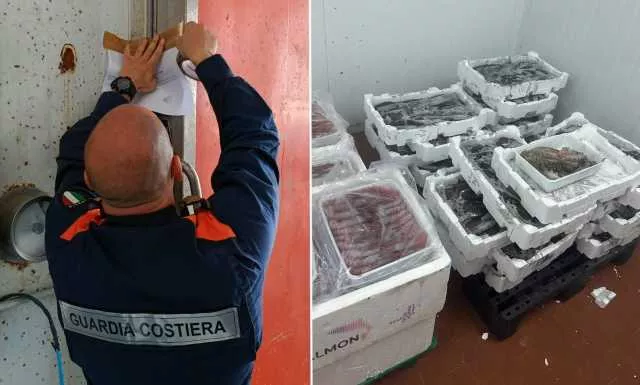 Sequestro Pesci Stabilimento Maxi sequestro a Sant'Antioco, più di 1700 chili di pesce non tracciato in uno stabilimento