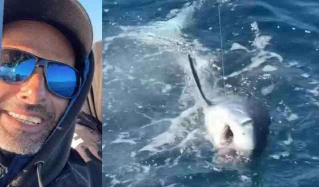 Porto Pino, catturato (e poi liberato) in mare uno squalo mako: 