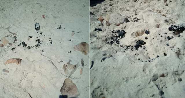 703471250 1431532565676616 8878746293835450353 N Falò acceso in spiaggia a Cala Coticcio, l'Ente Parco: