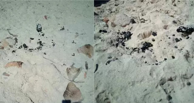 Falò acceso in spiaggia a Cala Coticcio, l'Ente Parco: