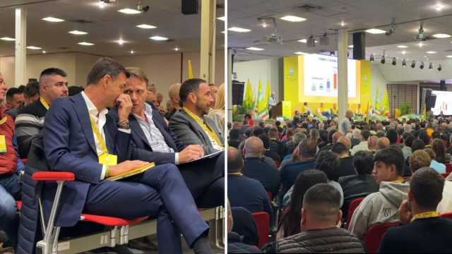 Dermatite Bovina, Lollobrigida a Cagliari: 