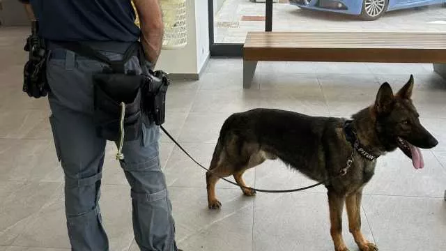 Polizia Cane Appartamento trasformato in base di spaccio h24: blitz della polizia a Oristano