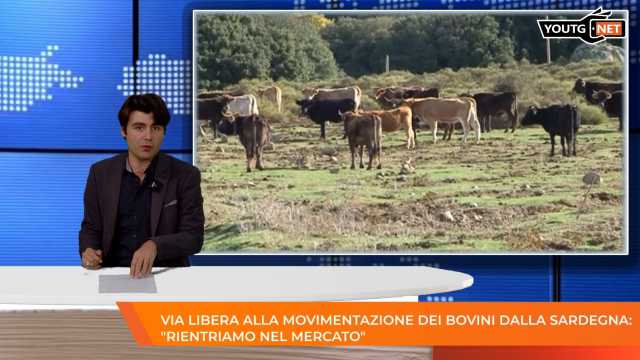Il Tg del Mattino - 8 Maggio 2026