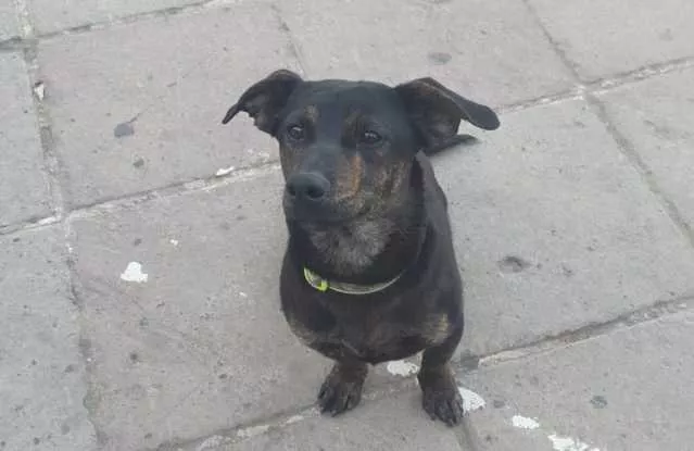 Jack Ucciso Dolianova