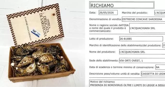 Ostriche Ritirate Dal Commercio Ostriche Ritirate Dal Commercio