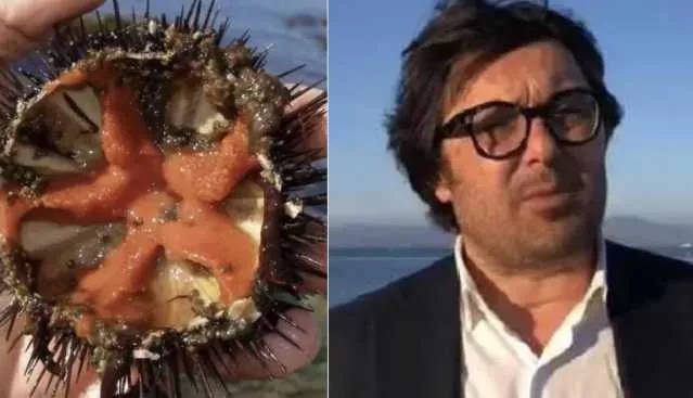 Pesca del riccio prorogata, Sant'Antioco contro la Regione: 