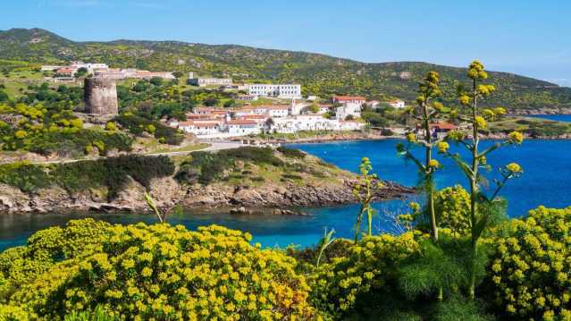 Asinara, la Giunta approva l'aggiornamento del piano del Parco Nazionale