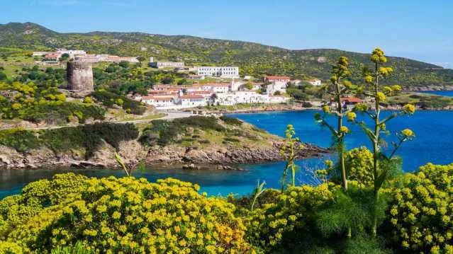 Asinara, la Giunta approva l'aggiornamento del piano del Parco Nazionale