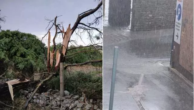Temporali violenti in Sardegna: alberi caduti e allagamenti, le nuvole arrivano a Cagliari