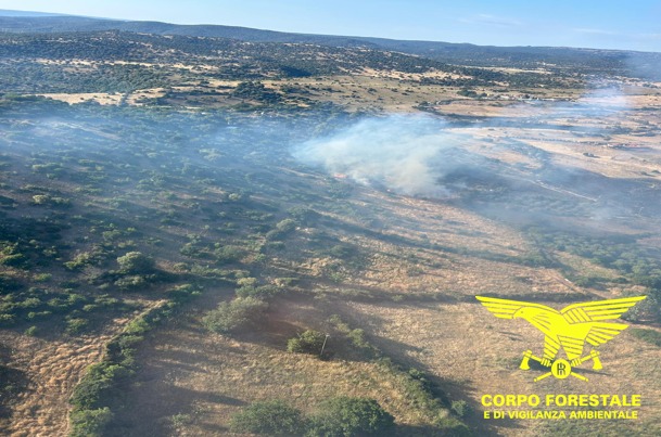 ONIFERI INCENDIO Pomeriggio di fuoco in Sardegna: fiamme a Sedilo, Oniferi e Palmas Arborea