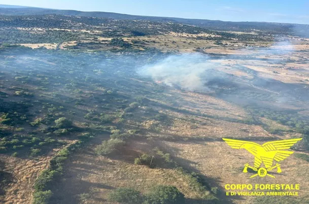 ONIFERI INCENDIO