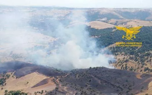 WhatsApp Image 2026 06 23 At 15.37.15 1 Fiamme sul monte Cugussi a Nurri, il temporale rallenta gli aiuti aerei