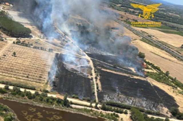 Corpo Forestale Olmedo Incendio nelle campagne di Olmedo: in volo un elicottero per domare le fiamme