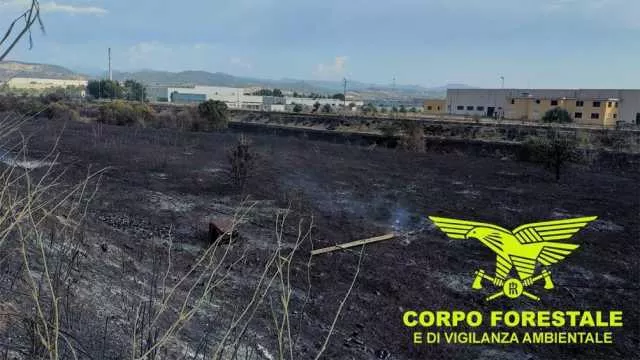 FIAMME Bolotana L’incendio di ieri a Bolotana? Colpa di un fulmine. Oggi fuoco a Teti e Lanusei