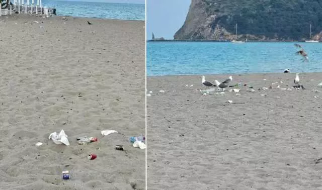 Cagliari, al Poetto i rifiuti abbandonati in spiaggia diventano banchetto per i gabbiani: 