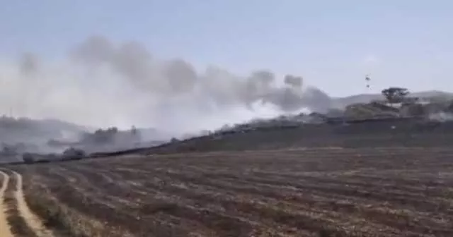 Incendio Boschivo Sardegna Il corpo forestale sardo: